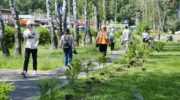 Благоустройство вылетных магистралей в Красногорске