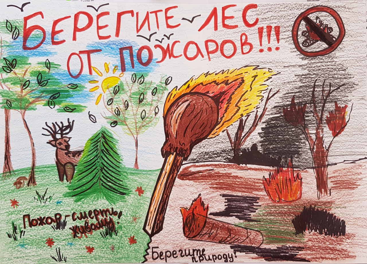 Плакат на тему защита леса